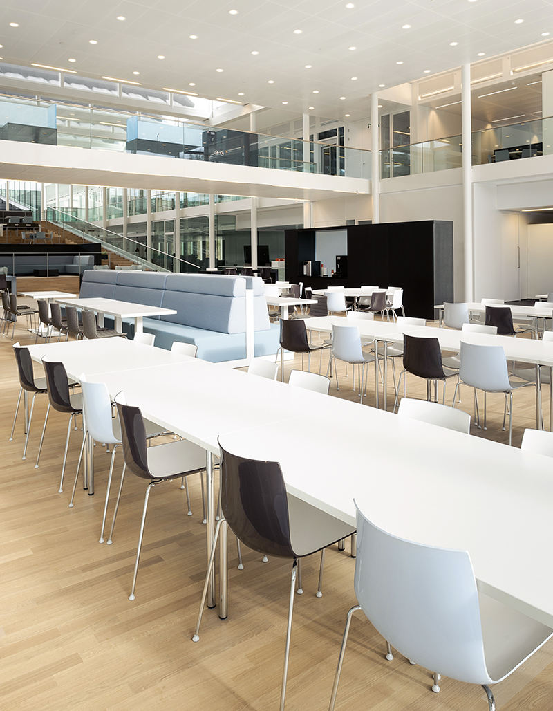 乐竞平台 - 坐具|餐椅|办公家具|设计师家具|Catifa 46 餐椅